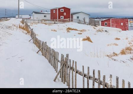 Zäune für die Tierhaltung im historischen Fischerdorf Tilting auf der Fogo Island in Neufundland, Kanada [keine Eigentumsfreigabe; zur Redaktion verfügbar Stockfoto