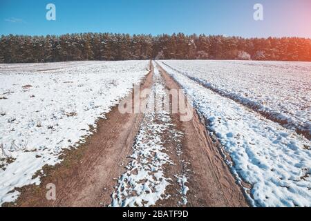 Ländliche Winterlandschaft an einem sonnigen Tag. Frostiges Wetter. Feldweg und Kiefernwald im Hintergrund Stockfoto