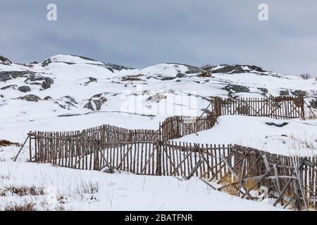 Zäune für die Viehhaltung im historischen Fischerdorf Tilting, auf Fogo Island in Neufundland, Kanada Stockfoto