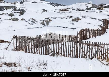 Zäune für die Viehhaltung im historischen Fischerdorf Tilting, auf Fogo Island in Neufundland, Kanada Stockfoto