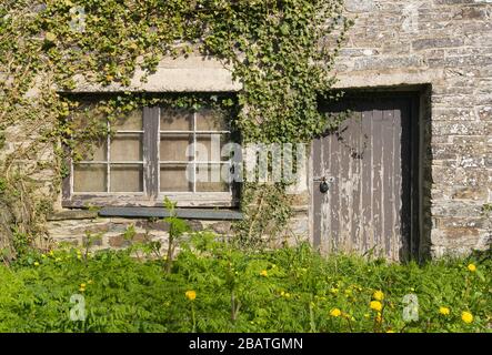 Alte heruntergekommene Fassade aus Steinmauern in Felindre Farchog, in der Nähe von Newport. Pembrokeshire, Wales. GROSSBRITANNIEN Stockfoto