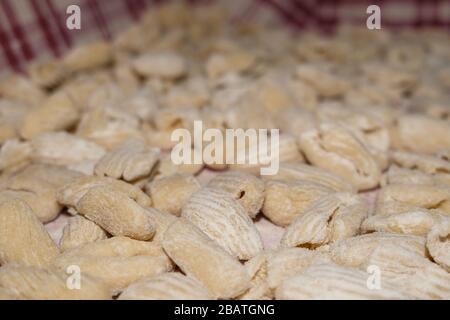 Nahaufnahme von handgefertigtem italienischem Gnocchi, echt leckeres Essen, Hausküche Stockfoto