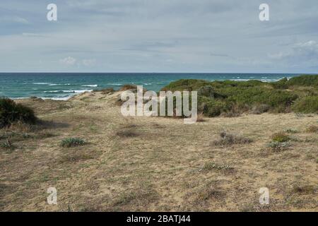 Naturpark von Cabopino - Dunas de Artola, Marbella, Provinz Málaga, Andalusien, Spanien. Stockfoto