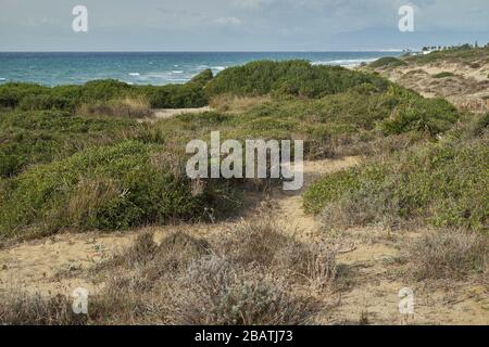 Naturpark von Cabopino - Dunas de Artola, Marbella, Provinz Málaga, Andalusien, Spanien. Stockfoto