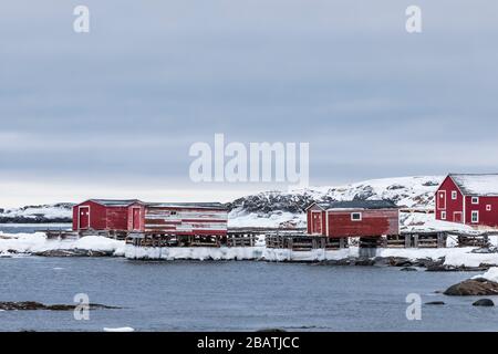 Häuser und Etappen am Tilting Harbour im historischen Fischerdorf Tilting auf der Insel Fogo in Neufundland, Kanada Stockfoto