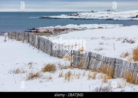 Zäune für die Tierhaltung im historischen Fischerdorf Tilting auf der Fogo Island in Neufundland, Kanada [keine Eigentumsfreigabe; zur Redaktion verfügbar Stockfoto