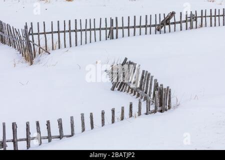 Zäune für die Tierhaltung im historischen Fischerdorf Tilting auf der Fogo Island in Neufundland, Kanada [keine Eigentumsfreigabe; zur Redaktion verfügbar Stockfoto