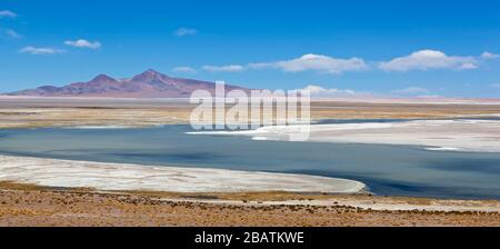 Salar (Salt Flat) de Tara mit fast 4800 m (16.000 Fuß) in den Anden und Altiplano der Atacama-Wüste, Reserva Nacional los Flamencos Stockfoto