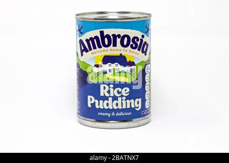 Ambrosia-Reis-Pudding Stockfoto