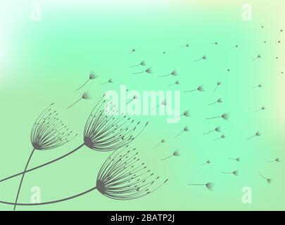 Löwenzahn-Abbildung. Heller Hintergrund. Frühlingsblüte. Blumenmuster. Hintergrund der Vektorgrafiken. Löwenzahn im abstrakten Stil Stock Vektor