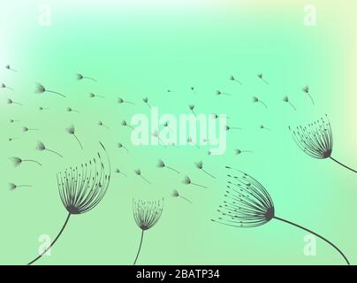 Löwenzahn-Abbildung. Heller Hintergrund. Frühlingsblüte. Blumenmuster. Hintergrund der Vektorgrafiken. Löwenzahn im abstrakten Stil Stock Vektor