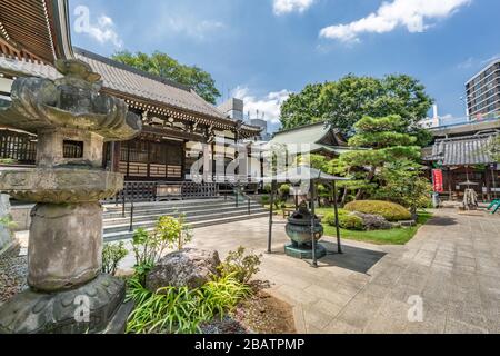 Kawagoe, Japan - 5. August 2019: Seitenansicht der Haupthalle (Honden) und des Jokoro Räucherbrenner des Saiunji-Tempels. Jodo-Sekte des Buddhismus. Stockfoto