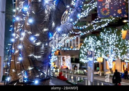 In Tokio sind in blau-weißen Lichtern verzierte Bäume zu sehen Stockfoto