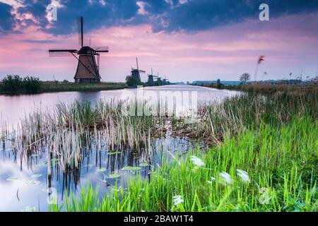Traditionelle holländische Windmühlen im Unesco-Weltkulturerbe in Kinderdijk. Molenwaard, Südholland, Niederlande, Europa. Stockfoto