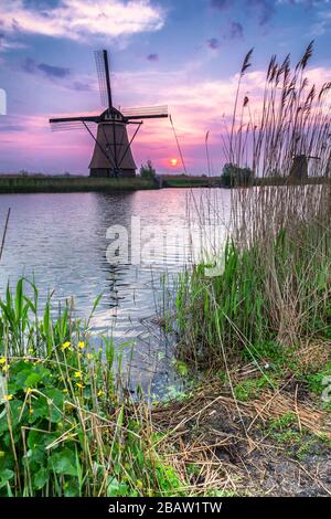 Traditionelle holländische Windmühlen im Unesco-Weltkulturerbe in Kinderdijk. Molenwaard, Südholland, Niederlande, Europa. Stockfoto