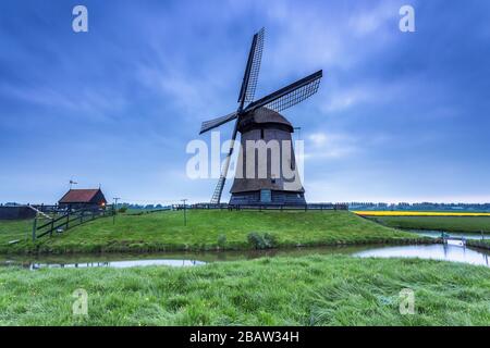 Grüne Rasenfelder und eine Windmühle spiegelten sich in der Abenddämmerung im Kanal wider. Berkmeer, Koggenland, Nordholland, Niederlande, Europa. Stockfoto