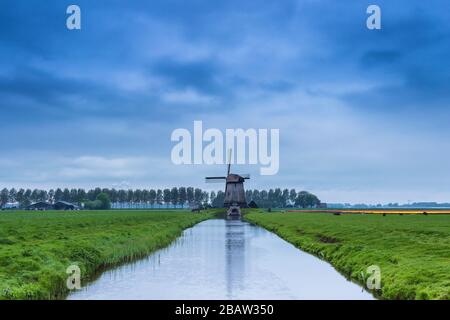 Grüne Rasenfelder und eine Windmühle spiegelten sich in der Abenddämmerung im Kanal wider. Berkmeer, Koggenland, Nordholland, Niederlande, Europa. Stockfoto