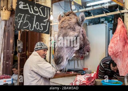 Kamelkopf an einem Metzger in Fes Medina, Fes, Marokko ausgestellt Stockfoto