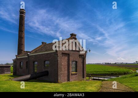 Die Windmühle de Kaagmolen im vorderen mehrfarbigen Tulpenfeld (Gemeinde Opmeer, Nordholland, Niederlande) Stockfoto