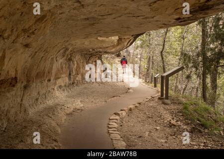 Das Hotel befindet sich im Coconino National Forest, etwas außerhalb von Flagstaff, AZ. Klippenwohnungen, malerische Ausblicke, felsige Höhlen oder Einlässe, Wege im Walnut Canyon. Stockfoto