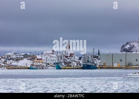 Blick über Seal Cove mit Winterpfannkucheneis zum Dorf Fogo, auf Fogo Island, Neufundland, Kanada Stockfoto