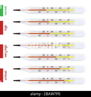 Menschliches Temperaturthermometer eingestellt Stock Vektor