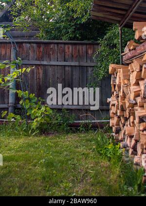 Brandholz im Hintergarten gelagert Stockfoto