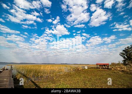 Ibera-Nationalpark, Argentinien Stockfoto