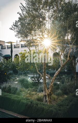 Le Jardin Secret Garden, Marrakesch, Marokko, alte Madina, Marrakesch, Marokko. Stockfoto