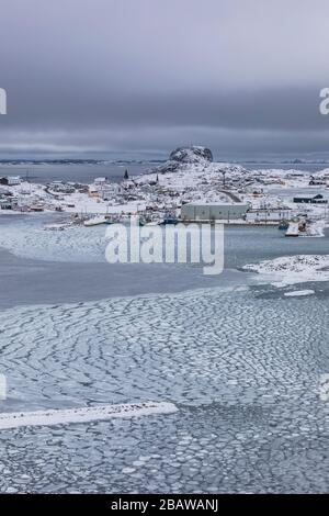 Blick über Seal Cove mit Winterpfannkucheneis zum Dorf Fogo, auf Fogo Island, Neufundland, Kanada Stockfoto