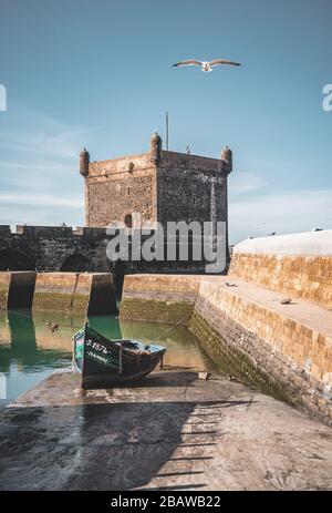 Sqala du Port, ein Verteidigungsturm am Fischerhafen von Essaouira, Marokko mit einer Schar von Möwen und blauem Himmel. Fischerboot im Vordergrund. Stockfoto