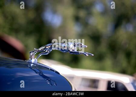 Verchromte Windhund-Kapuze an einem Lincoln- oder Ford-Automobil aus den 1930er Jahren, Symbol für Geschwindigkeit und Eleganz aus der Streamline Design-Ära. Stockfoto