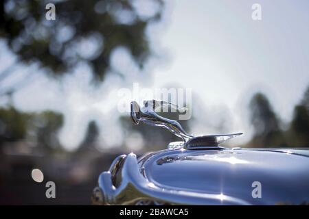 Verchromte Kapuze mit Gazelle an einem Chrysler Imperial-Klassiker aus den 1930er Jahren, ein Art déco-Design, das Geschwindigkeit und Eleganz symbolisiert. Stockfoto