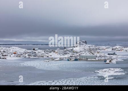 Blick über Seal Cove mit Winterpfannkucheneis zum Dorf Fogo, auf Fogo Island, Neufundland, Kanada Stockfoto