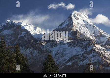 Landschaftlich schöner Blick am frühen Morgen auf den verschneiten Annapurna Mountain Peak Strecke von Poon Hill in Nepal Himalaya Mountains Stockfoto