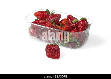 Behälter aus Plastiktablett mit frischen organischen Erdbeeren. Nahaufnahme Stockfoto