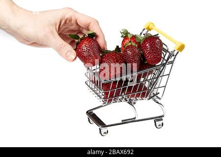Frische süße Erdbeeren im Warenkorb, isoliert auf weißem Hintergrund. Nahaufnahme: Organische Erdbeeren Stockfoto