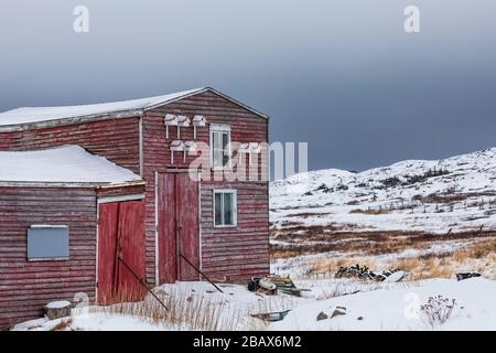 Red Stage mit sieben Vogelhäusern in Joe Batt's Arm auf Fogo Island, Neufundland, Kanada [keine Eigentumsfreigabe; nur für redaktionelle Lizenzierung verfügbar] Stockfoto