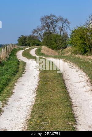 Eine Undulation von Schmutz, die zu einer Farm in Frendal Dale in den Yorkshire Wolds führt. Stockfoto