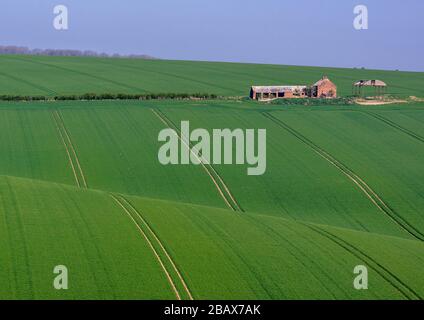 Blick auf einen verderblichen Bauernhof über die grünen, gestreiften Felder an einem sonnigen Tag. Stockfoto