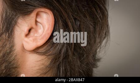 Nahaufnahme mit Makroaufnahmen im menschlichen Ohr Stockfoto