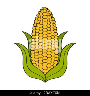 Super Corn Crop-Vector Logo-Vorlage. Schild Mit Organischem Getreide. Symbole Der Ökologie. Biosimiles. Ein Abzeichen der Auszeichnung für Landwirtschaft und Natur. Jahr Der Whe Stock Vektor