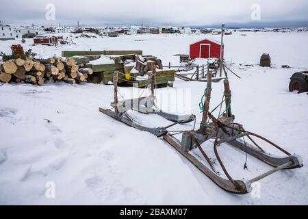 Brennholzschlitten im Haus von Desmond Adams in Joe Batt's Arm auf Fogo Island, Neufundland, Kanada [keine Eigentumsfreigabe; für redaktionelle Lizenzen verfügbar Stockfoto