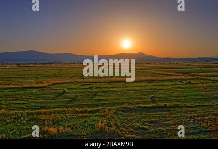 Luftaufnahme der Felder in der Nähe von Sinj mit Strohballen in der Landschaft, Kroatien Stockfoto