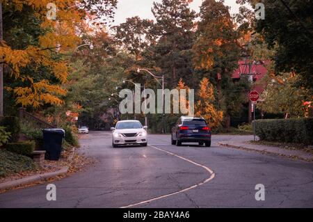Herbstblick entlang der qiuet-Stadtstraße mit gelber Föhnlage und abgefallenen Blättern auf dem Boden Stockfoto