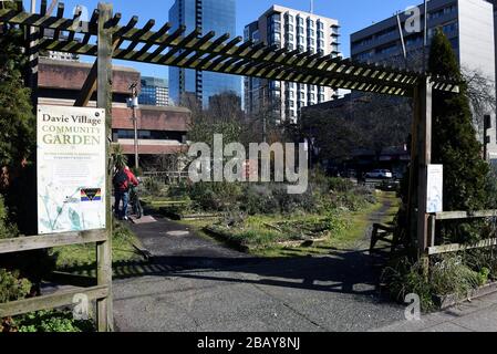 Vancouver, Kanada - 4. März 2020: Der Davie Village Community Garden in der Innenstadt erlaubt Anwohnern, eigene Blumen oder Pflanzen zu besitzen. Es wird r sein Stockfoto