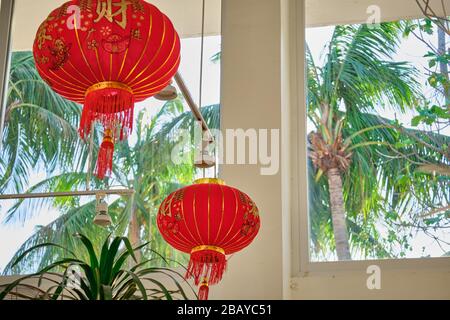 Chinesische Taschenlampe auf dem Hintergrund von Palmen Stockfoto