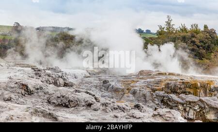 Geothermische Aktivität in Whakarewarewa in Rotorua, Bay of Plenty Region, Central North Island, Neuseeland. Stockfoto