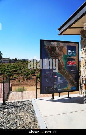 El Museo de la Vid y el Vino (das Vine- und Weinmuseum) Stockfoto