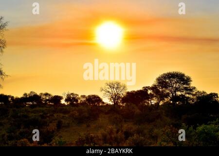 Der schönste Sonnenuntergang in Krueger Stockfoto